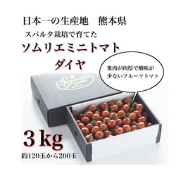 ②『極み』塩トマトのようなフルーツトマト　ソムリエミニトマト　ダイヤ３kg（120玉〜200玉） 1枚目の画像