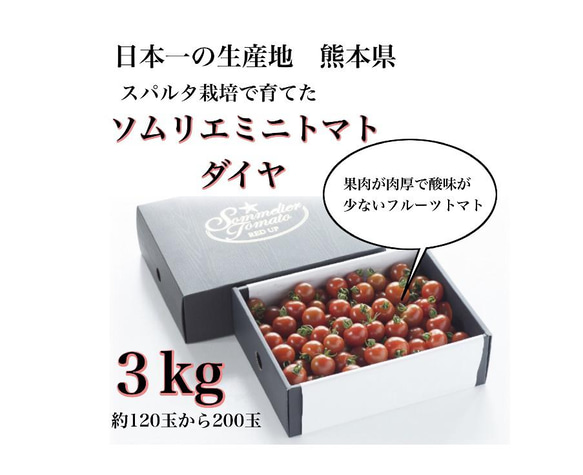 ②『極み』塩トマトのようなフルーツトマト　ソムリエミニトマト　ダイヤ３kg（120玉〜200玉） 1枚目の画像