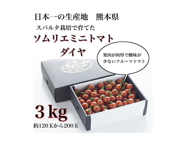 【極み】塩トマトのようなフルーツトマト　ソムリエミニトマト　ダイヤ３kg（１２０玉～２００玉） 予約】『極み』塩トマトのようなフルーツトマト ソムリエミニ