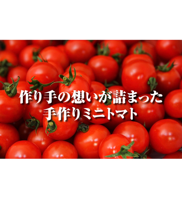②『極み』塩トマトのようなフルーツトマト　ソムリエミニトマト　ダイヤ３kg（120玉〜200玉） 6枚目の画像
