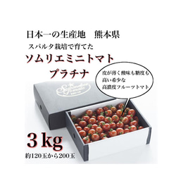 ④『極み』【希少な高濃度フルーツトマト】ソムリエミニトマト　プラチナ３kg（120玉〜200玉） 1枚目の画像