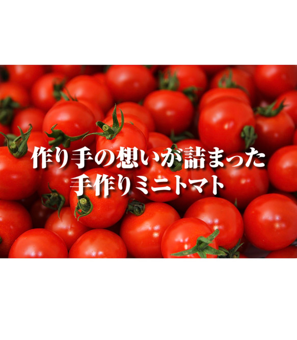 ④『極み』【希少な高濃度フルーツトマト】ソムリエミニトマト　プラチナ３kg（120玉〜200玉） 6枚目の画像