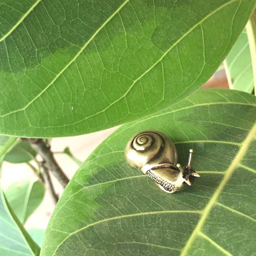 シュプリーム 箸 箸置き 楽天市場】箸 箸置き セット 21cm ぎゅっとおにぎりさん 天然木