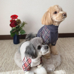犬服‼︎暖かフリース×チェック柄ジャズネップタートル　ネイビー×グレープ⭐️XS.S.M.DXS.DS.DM 3枚目の画像