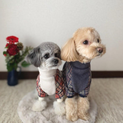 犬服‼︎暖かフリース×チェック柄ジャズネップタートル　ネイビー×グレープ⭐️XS.S.M.DXS.DS.DM 2枚目の画像