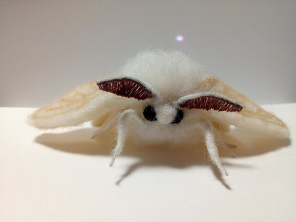 羊毛フェルト☆蚕 羊毛フェルト 【bags factory】むいむい 通販