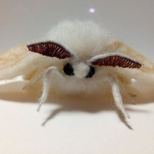 Maghreb✩羊毛フェルト 羊毛フェルト☆蚕 羊毛フェルト 【bags factory】むいむい 通販