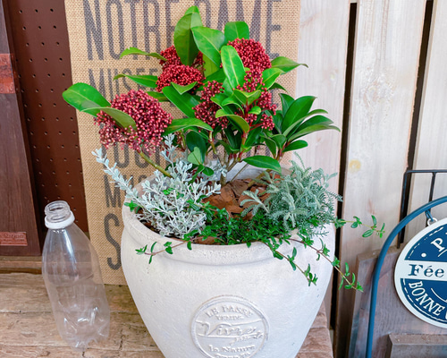 002170aa4c22fe21b9012227c6bb74