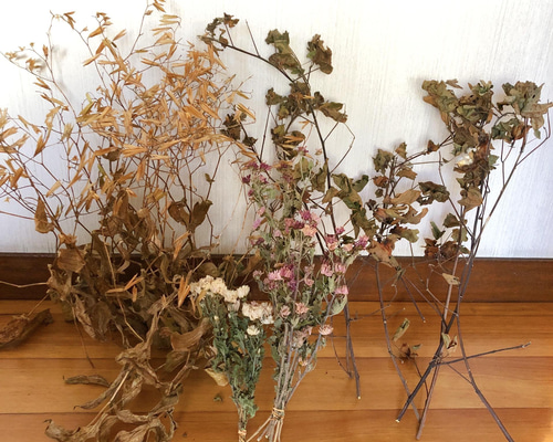 4b8e094fd2261dc2e275c78970114f