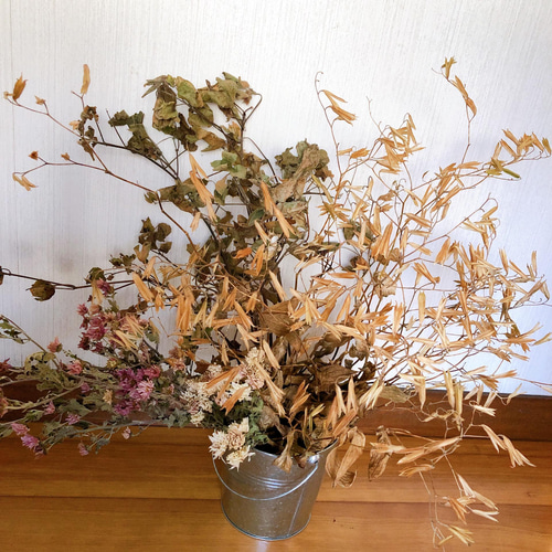 SALE】花材 生け花 華道 山野草 ドライフラワー ホトトギス コットン