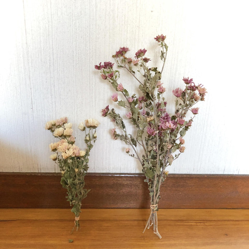 SALE】花材 生け花 華道 山野草 ドライフラワー ホトトギス コットン