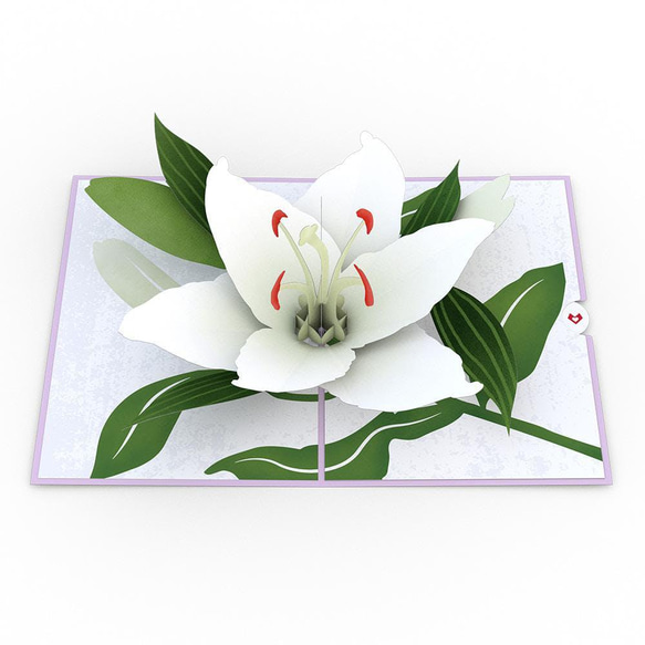 ポップアップグリーティングカード　Sympathy Lily 2枚目の画像
