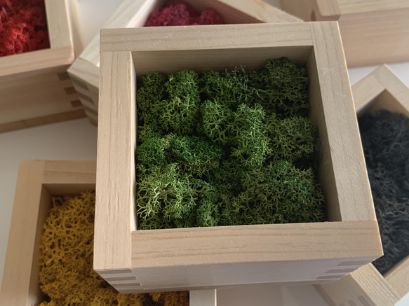 北欧カラーひのき枡【緑】 お手入れ不要 自然素材 インテリア雑貨