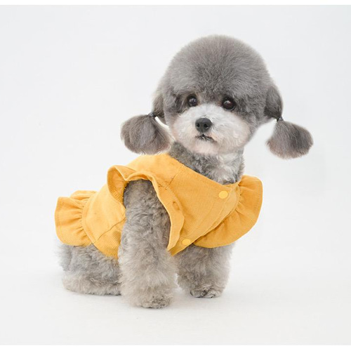 【未使用あり】犬服・猫服 5点セット 在庫処分セール40%off 犬 猫 服 ペット服 洋服 柔らかい 子犬小