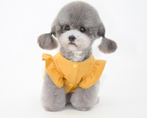おまとめ専用ページ☆子犬わたあめ13㎝用☆お洋服G＋靴☆お洋服P＋靴 2025年最新】子犬わたあめ 服の人気アイテム - メルカリ