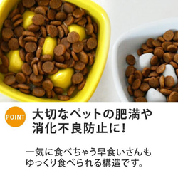 【送料無料】name＆numberが入る 早食い防止 高台フードボウル 【中】 全10色 pet107 4枚目の画像