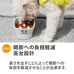 【送料無料】name＆numberが入る 早食い防止 高台フードボウル 【中】 全10色 pet107 5枚目の画像