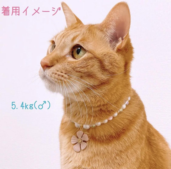 猫の首輪ネックレス首輪✨ピンクビーズ♡大きめお花チャーム 6枚目の画像