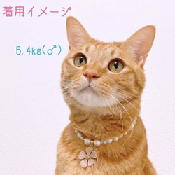 猫の首輪ネックレス首輪✨ピンクビーズ♡大きめお花チャーム 5枚目の画像