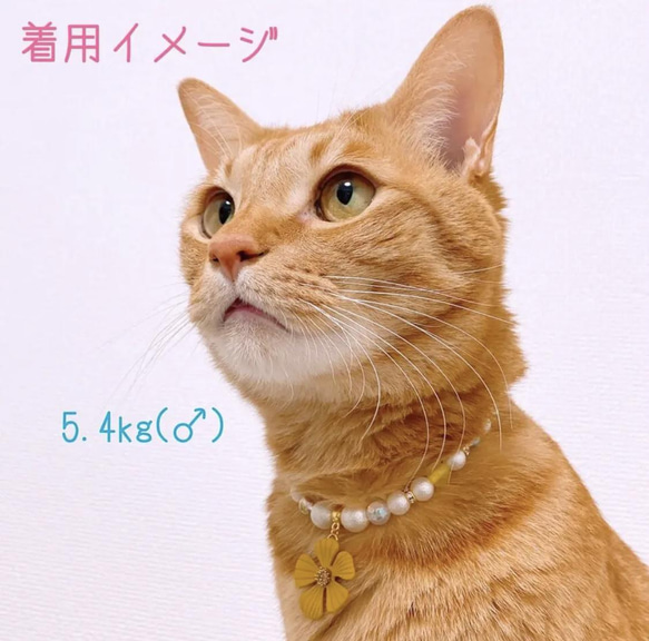 猫の首輪ネックレス首輪✨イエロービーズ♡大きめお花チャーム 6枚目の画像
