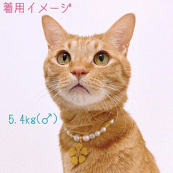 猫の首輪ネックレス首輪✨イエロービーズ♡大きめお花チャーム 5枚目の画像