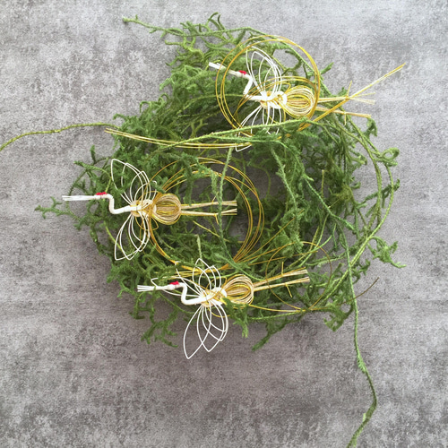 正月飾り ヒカゲノカズラ しめ縄・しめ飾り KASHIWARA 通販 13151178