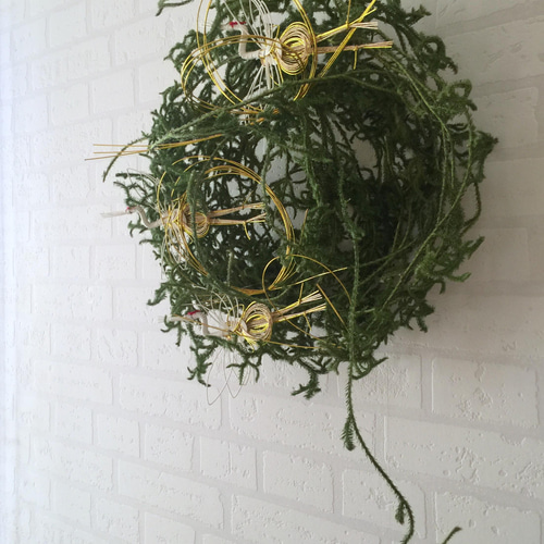 正月 しめ縄飾り 植物素材　ひょうたん　ヒカゲノカズラ 正月 しめ縄飾り 植物素材 ひょうたん ヒカゲノカズラ