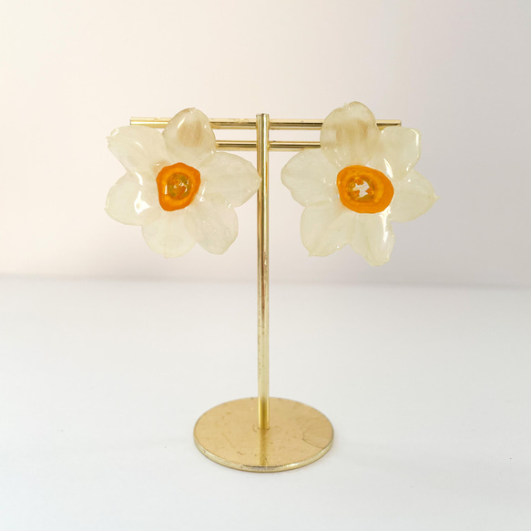 スイセン　ピアス　❇︎生花のアクセサリー 2枚目の画像