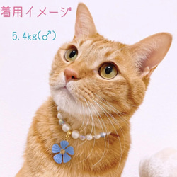猫の首輪ネックレス首輪✨ブルービーズ♡大きめお花チャーム 5枚目の画像