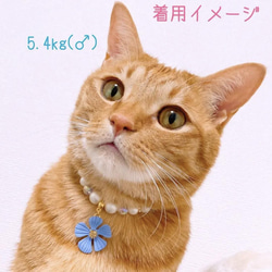 猫の首輪ネックレス首輪✨ブルービーズ♡大きめお花チャーム 6枚目の画像