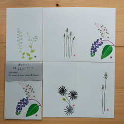 通なセット／５種５枚入り・季節を彩る手捺し原画ポストカードセレクトセット 3枚目の画像