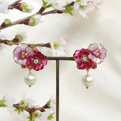 pierce < 紅 > 寄り添うお花と コットンパール ピアス( サージカルステンレス )  山茶花 桜  アネモネ 1枚目の画像