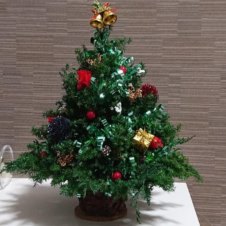 marikomama5.5◆クリスマスツリー marikomama5.5◇クリスマスツリー marikomama5.5◇クリスマス