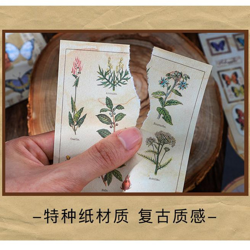 古い紙ものまとめて(おまとめページ) 在庫処分 6種類 ページシリーズ3 古書 新聞 地図 音譜 手紙