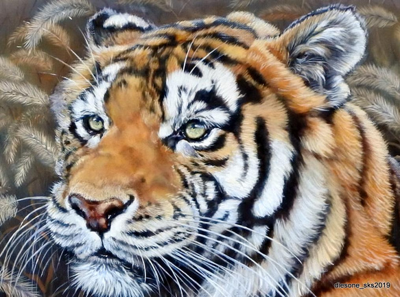 虎の油絵原画F30号 絵画 mimoza 通販 13154101｜Creema(クリーマ)