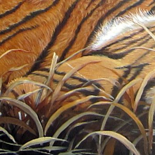 虎の油絵原画F30号 絵画 mimoza 通販 13154101|Creema(クリーマ) 虎の油絵原画F30号 絵画 mimoza 通販 13154101|Creema(クリーマ)
