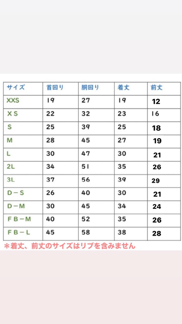  第5張的照片