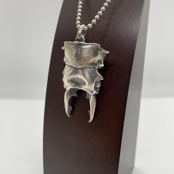 ルディカツヤクワガタ(ペンダントトップ)シルバーアクセサリー ルディカツヤクワガタ(ペンダントトップ)シルバーアクセサリー