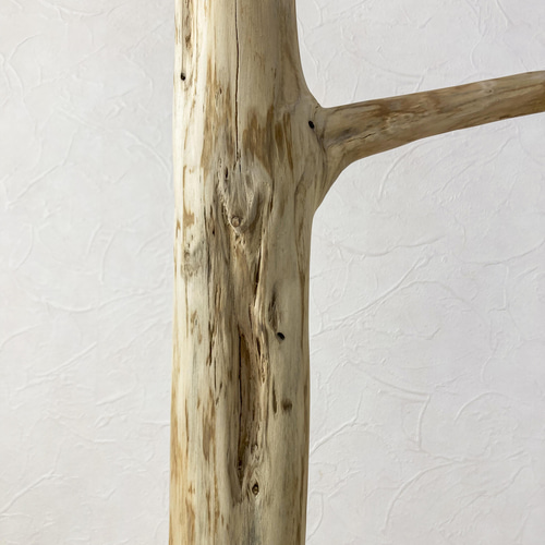 鳥用木製スタンド ツリー型*5 鳥用木製スタンド ツリー型*5 Amazon.co