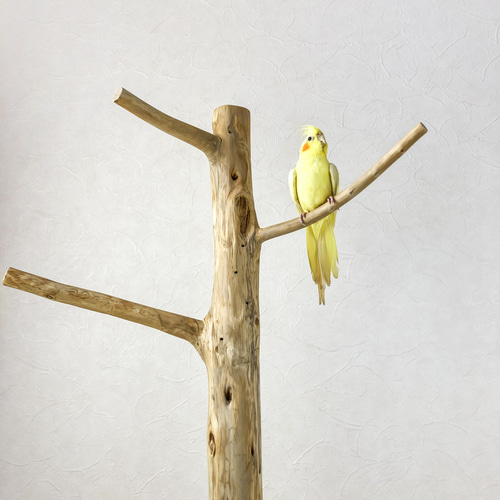 木製 鳥用止まり木 ツリー型 流木の止まり木】鳥 大型バードスタンド 高さ約99cm 人気の