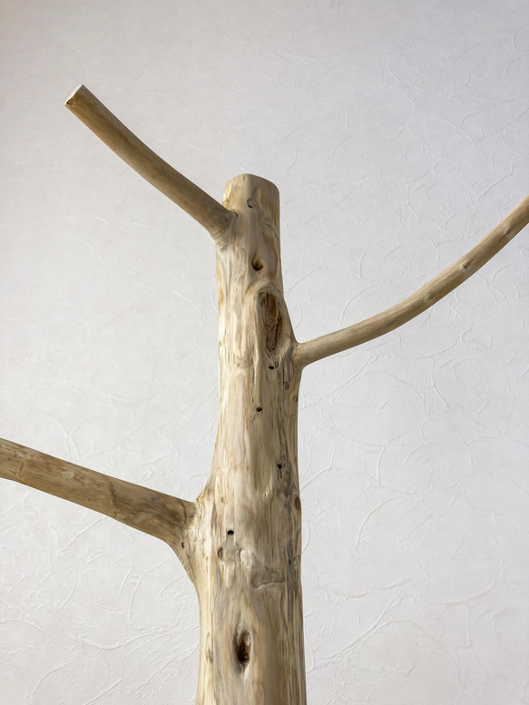 【流木の止まり木】鳥 大型バードスタンド 高さ約99cm 人気のツリー型　インコ止まり木 11枚目の画像