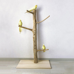 【流木の止まり木】鳥 大型バードスタンド 高さ約99cm 人気のツリー型　インコ止まり木 2枚目の画像