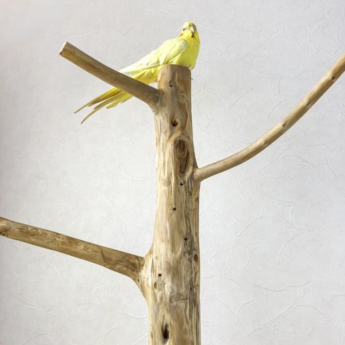 流木の止まり木】鳥 大型バードスタンド 高さ約99cm 人気のツリー型