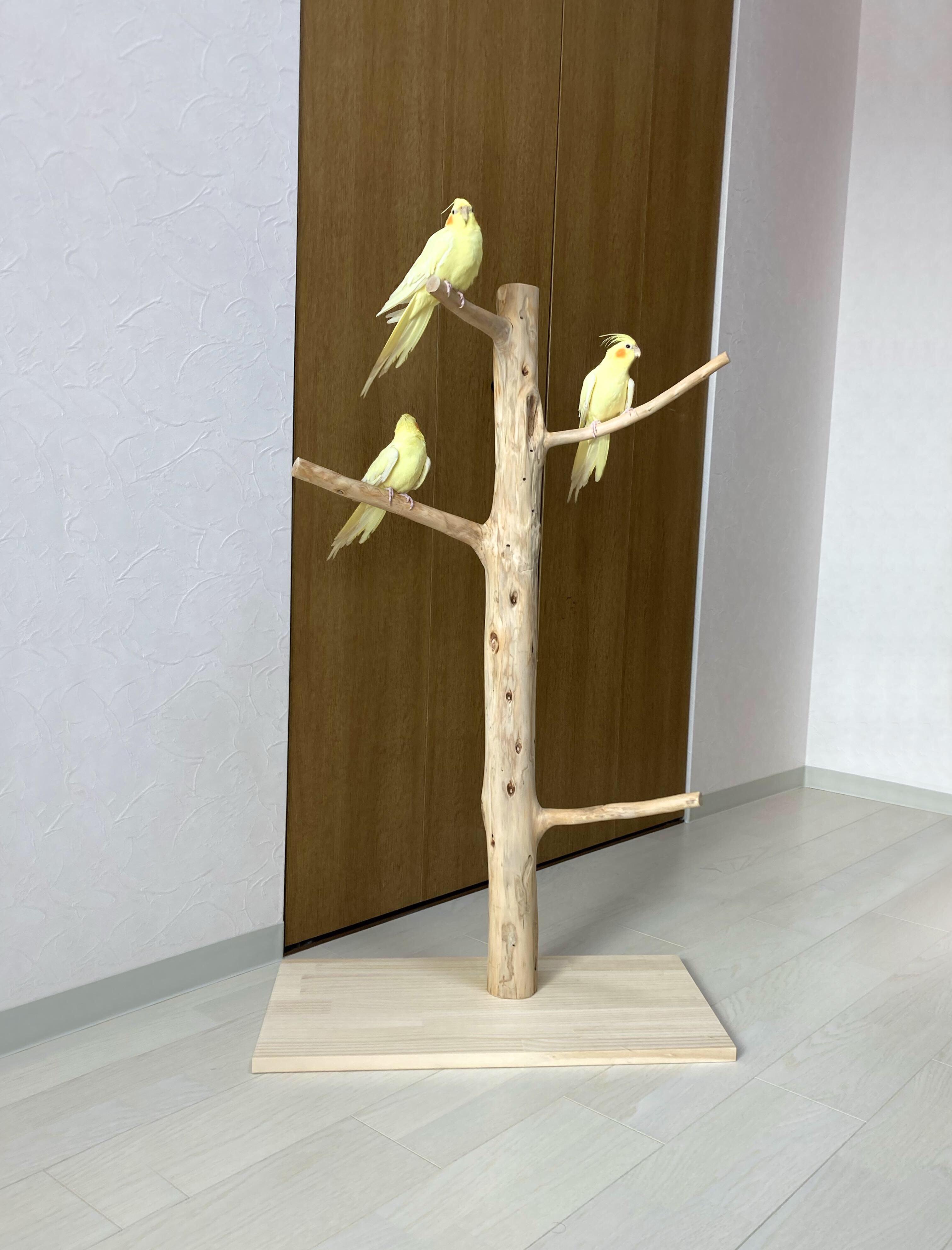 流木の止まり木】鳥 大型バードスタンド 高さ約99cm 人気のツリー型