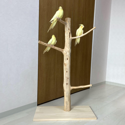 木製 鳥用スタンド ツリー型*5 鳥用木製スタンド ツリー型*5 鳥用木製スタンド ツリー型*5