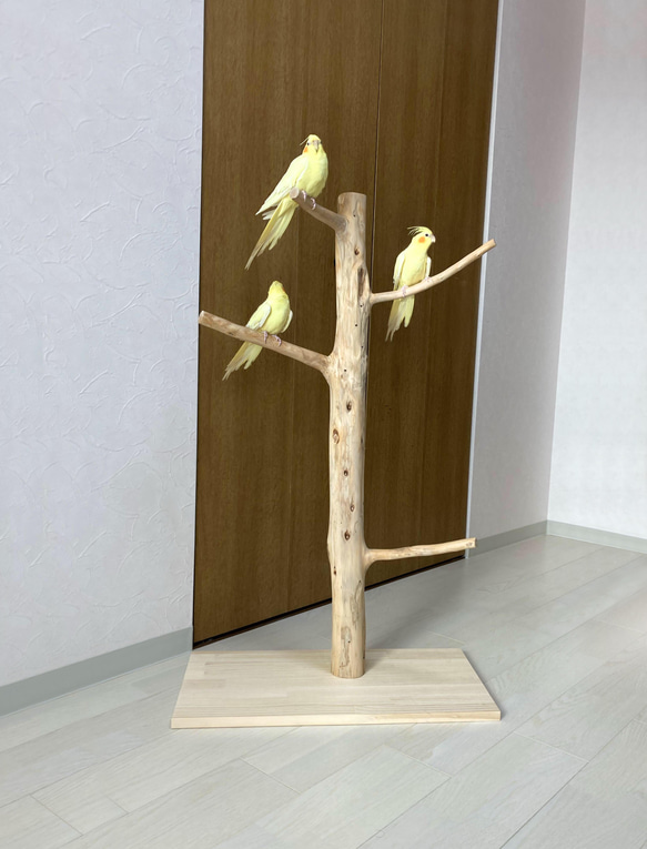 【流木の止まり木】鳥 大型バードスタンド 高さ約99cm 人気のツリー型　インコ止まり木 1枚目の画像