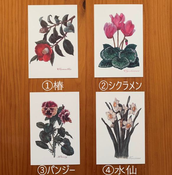 選べる！組合せ自由ポストカード【Retro Flowers　冬（4柄のうち）４枚 】封筒付 2枚目の画像