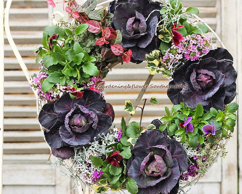 ドライフラワー スマホリング.アリッサムリース ドライフラワー