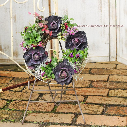 現品販売 花寄せ植えギャザリングリース ハボタン葉牡丹＆アリッサム