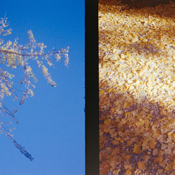 【全国送料無料】レトロフィルムカメラ オリンパス PEN EE-2 Lemon Tea【安心3点セット】 7枚目の画像